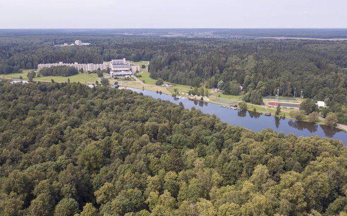 aaa